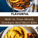 Crockpot Beef Short Ribs Recipe