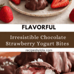 Chocolate Strawberry Frozen Yogurt Bites Recipe