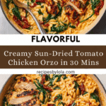 CREAMY SUN-DRIED TOMATO CHICKEN ORZO Recipe