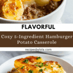 Easy 5-Ingredient Hamburger & Potato Casserole Recipe