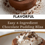 4-Ingredient Chocolate Pudding Recipe