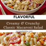 Best Macaroni Salad Recipe with Mayo Recipe