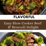 Slow Cooker Beef and Broccoli Recipe