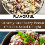 Cranberry Pecan Chicken Salad Recipe