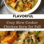 Slow Cooker Chicken Stew Recipe
