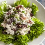 Cranberry Pecan Chicken Salad Recipe