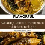 Creamy Lemon Parmesan Chicken Recipe