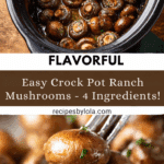 Crock Pot Ranch Mushrooms Recipe