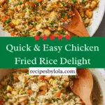 Chicken Fried Rice Recipe