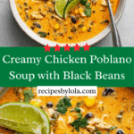 Easy Chicken, Poblano, and Black Bean Soup Recipe