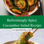 Spicy Cucumber Salad Recipe