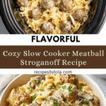 Slow Cooker Meatball Stroganoff Recipe