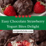 Easy Chocolate Strawberry Frozen Yogurt Bites Recipe