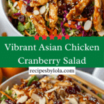 Asian Chicken Cranberry Salad Recipe