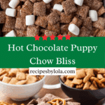 Hot Chocolate Puppy Chow Recipe
