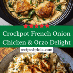 Crockpot Creamy French Onion Chicken and Orzo Recipe