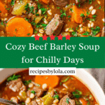 Beef Barley Soup Recipe