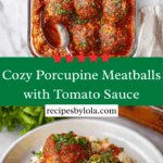Porcupine Meatballs Recipe