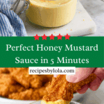 Honey Mustard Sauce Recipe