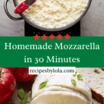 MOZZARELLA CHEESE Recipe